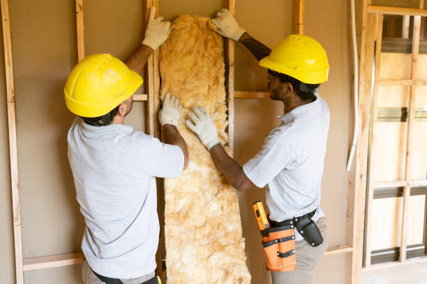 Best Eco-Friendly or Green Insulation Solutions  in Olivette, MO